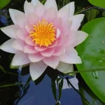 Логинова Юлия Юрьевна